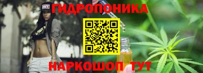 эйфоретик Камышлов